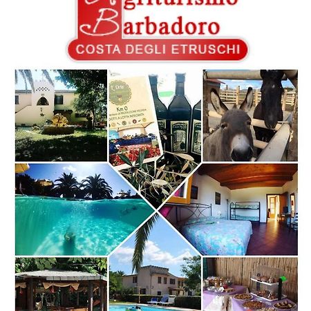Agriturismo Barbadoro ซานวินเชนโซ ภายนอก รูปภาพ