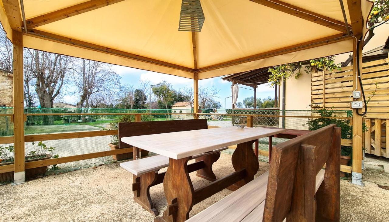 Agriturismo Barbadoro ซานวินเชนโซ ภายนอก รูปภาพ