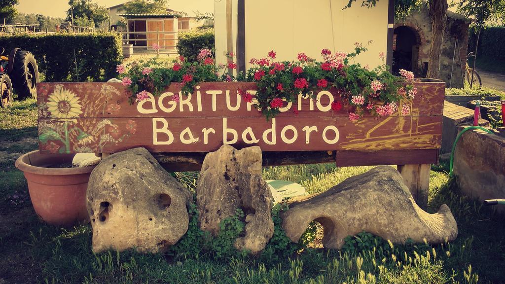Agriturismo Barbadoro ซานวินเชนโซ ห้อง รูปภาพ